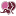 Pornrow